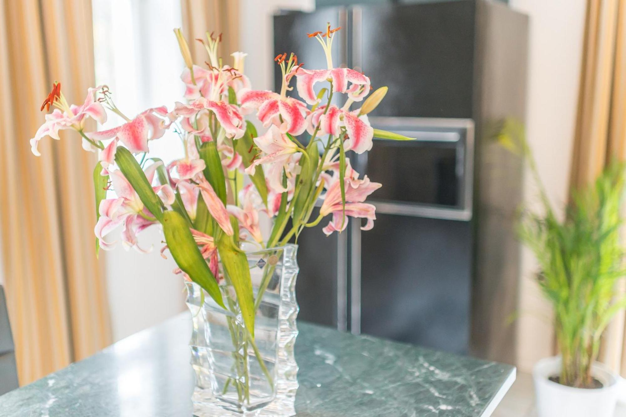 Charming Apartment With Terrace In Bad Schandau 55 Sqm Parking Esterno foto